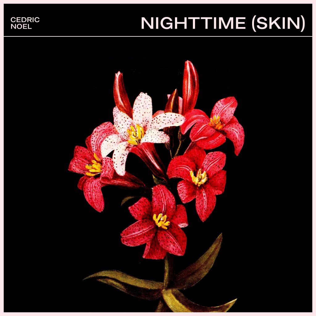 Nighttime (Skin)